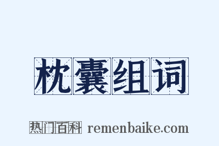 枕囊组词是什么意思的图片